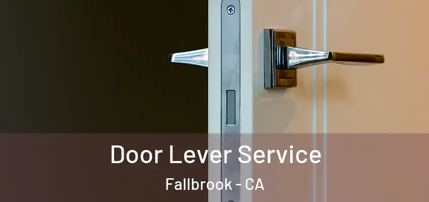  Door Lever Service Fallbrook - CA